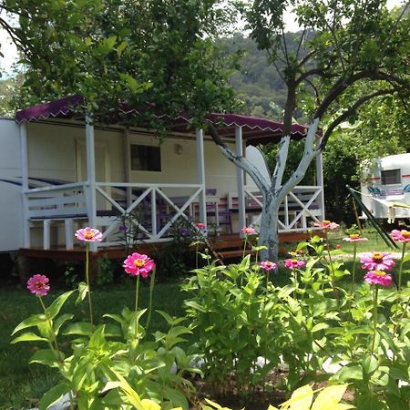 Bellerofon Caravan & Camping Çıralı Luaran gambar