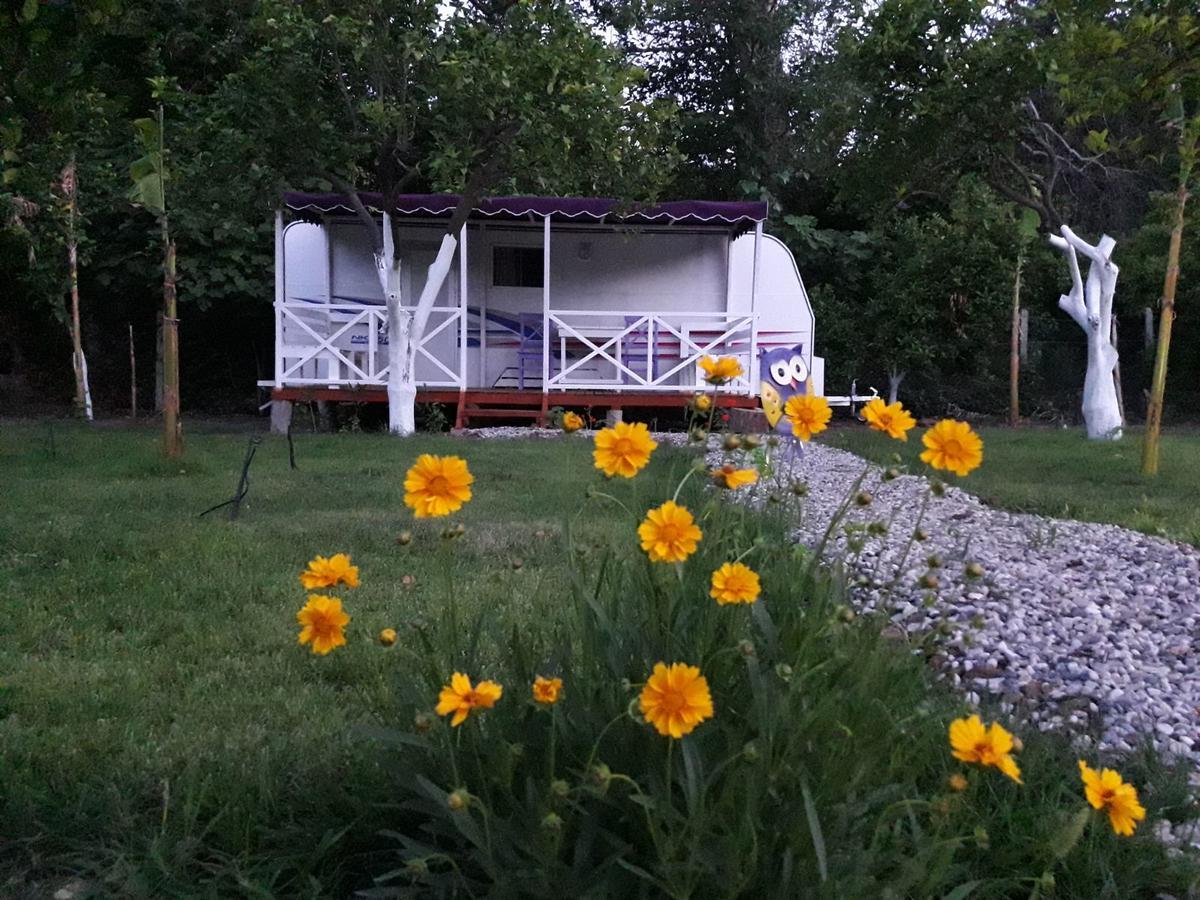 Bellerofon Caravan & Camping Çıralı Luaran gambar